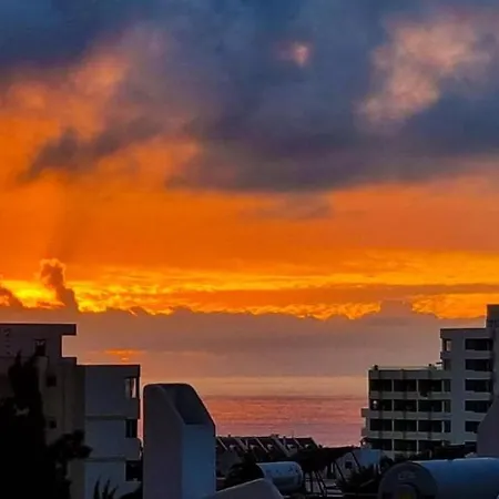 Floritas In Americas 44 Arona (Tenerife)