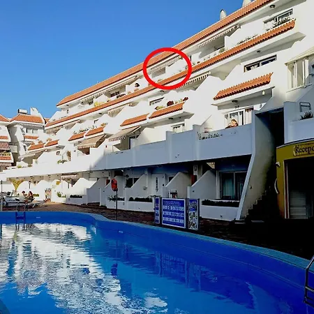 Floritas In Americas 44 Arona (Tenerife)