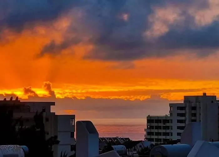 Floritas In Americas 44 Arona